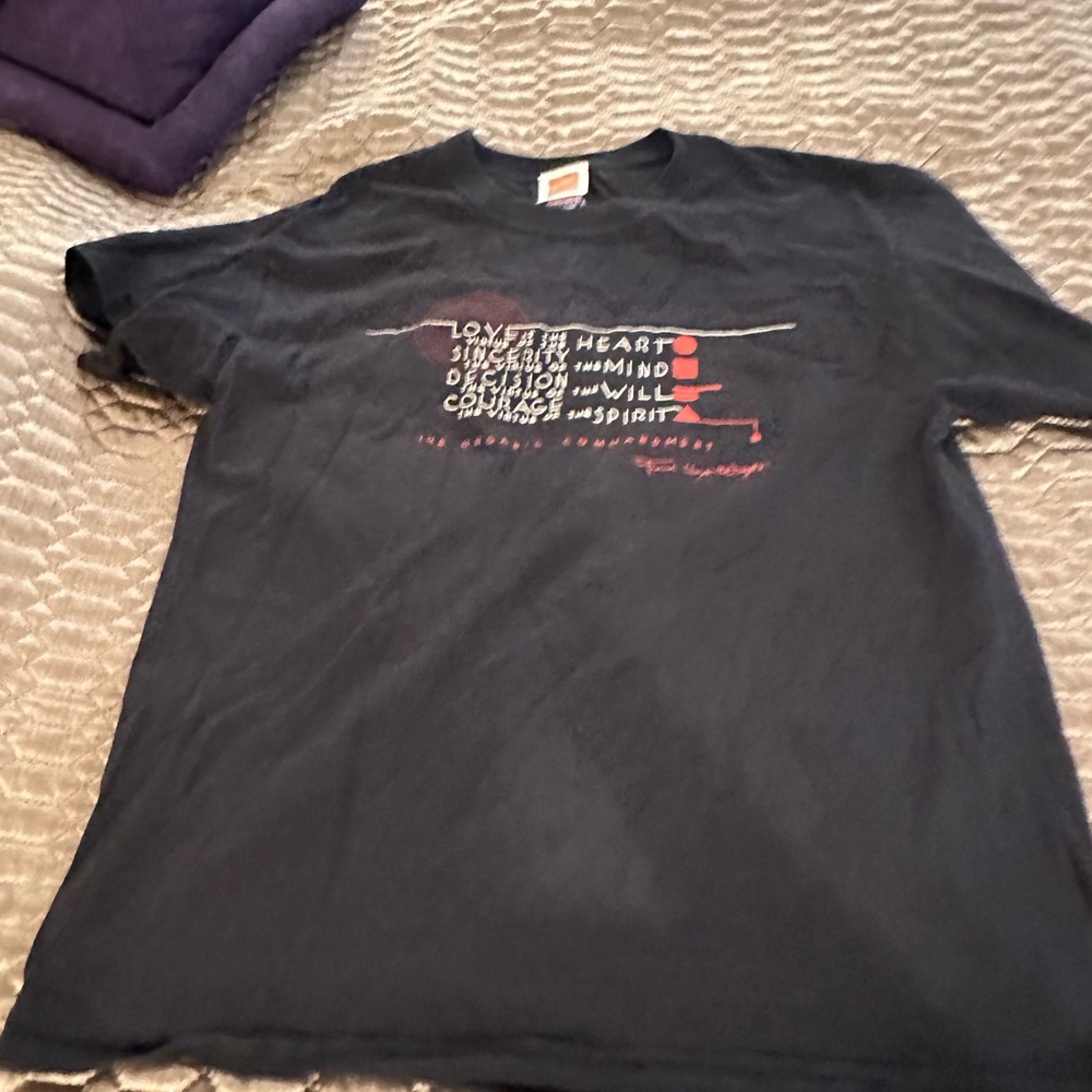 Frank Lloyd Wright tee size m